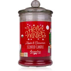 Accentra Candela profumata 230g 3860081 Ciao Inverno